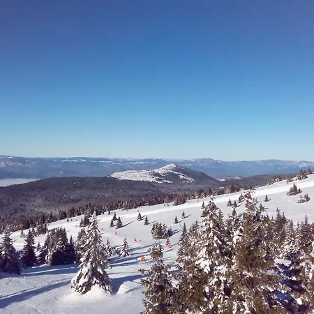 Gold Lux Kopaonik