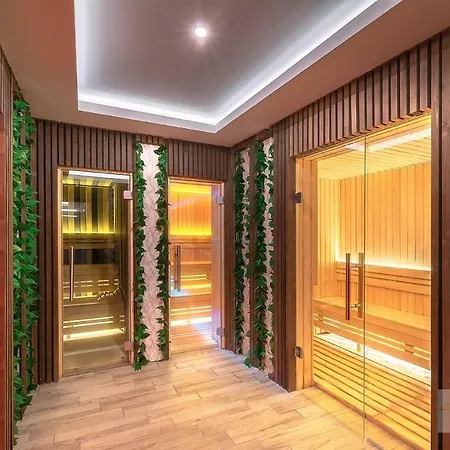 Apartment Gold Lux *